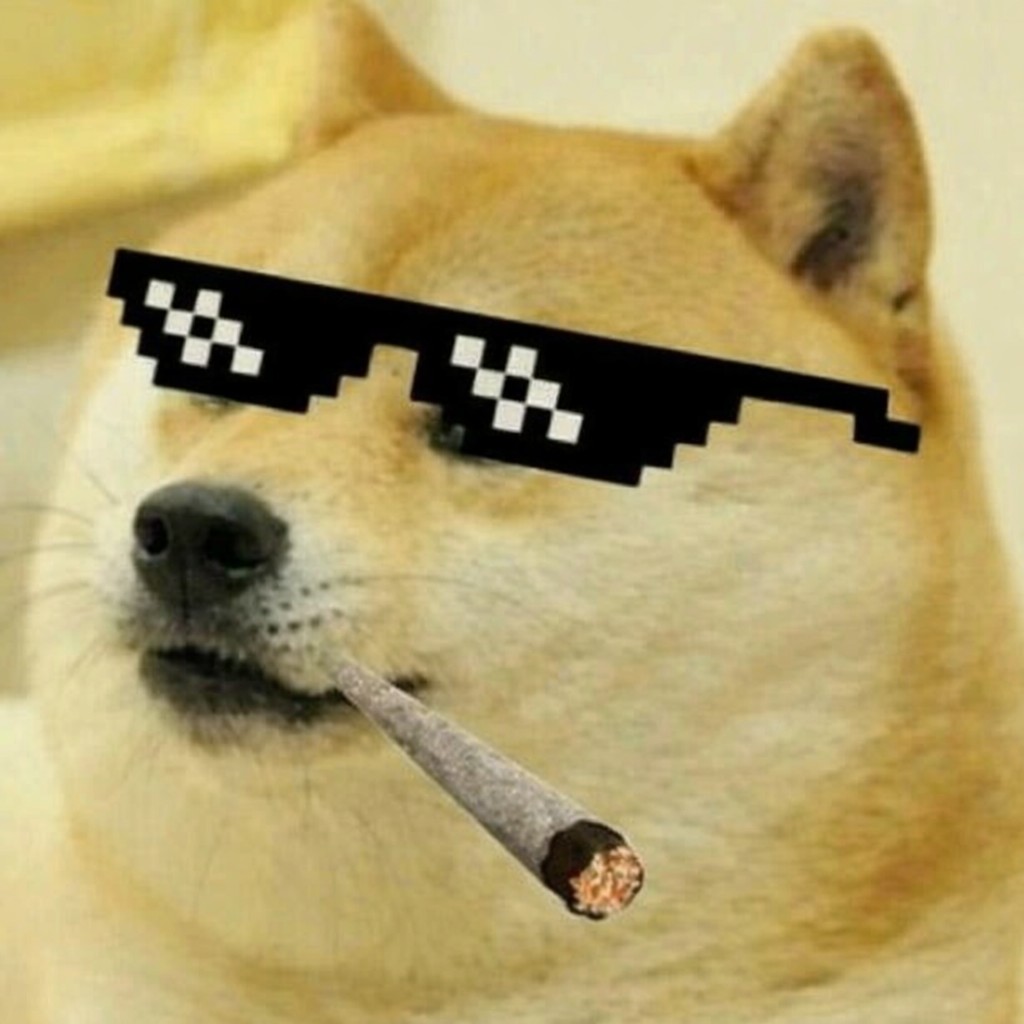 The original doge with shades and blunt